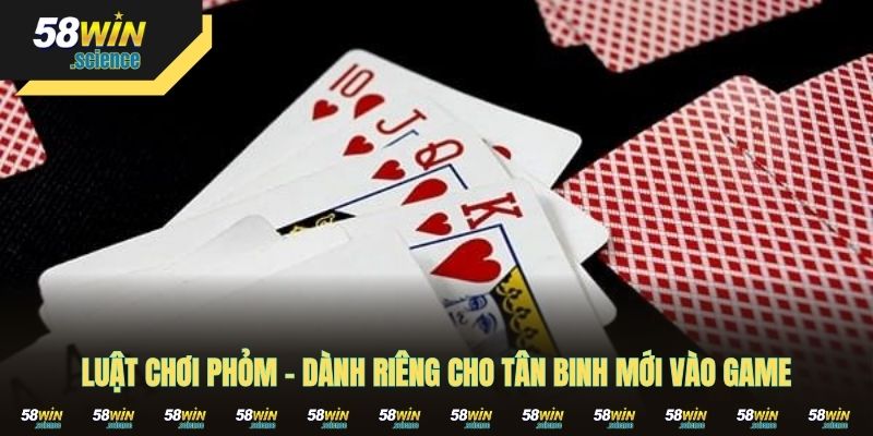 Luật Chơi Phỏm – Dành Riêng Cho Tân Binh Mới Vào Game