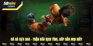 Đá Gà Cựa Dao – Trận Đấu Kịch Tính, Hấp Dẫn Mọi Giây